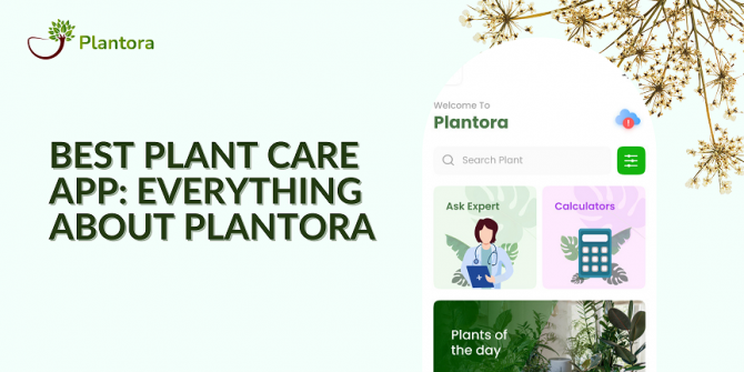 Best Plant Care App Everything About Plantora Plantora