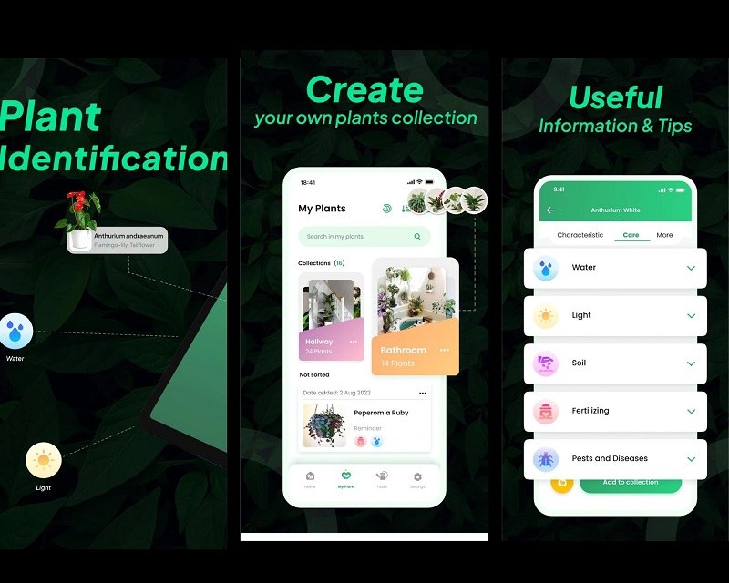 9 Best Plant Identification Apps of 2023 Plantora