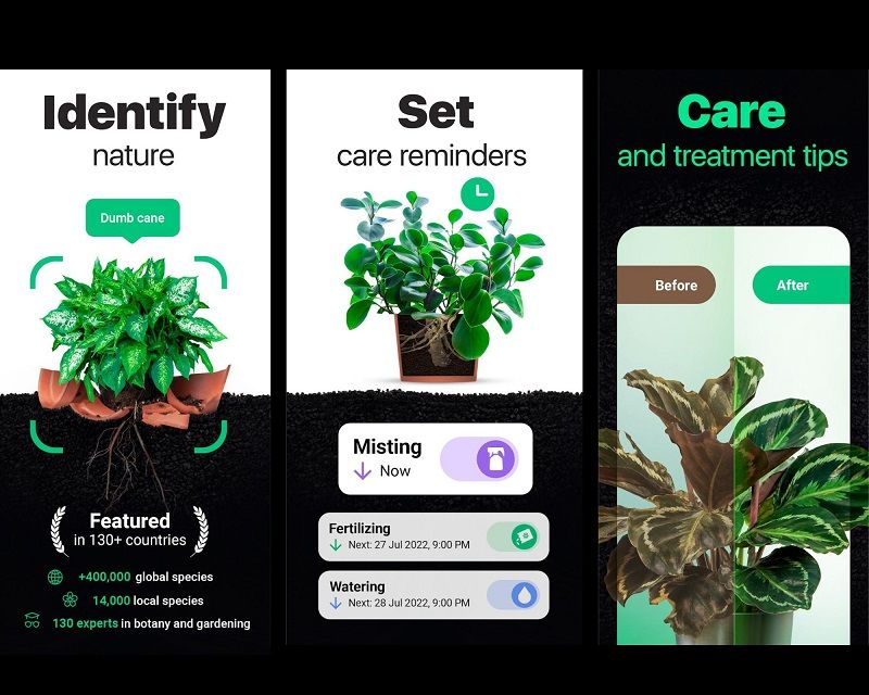 9 Best Plant Identification Apps of 2023 Plantora