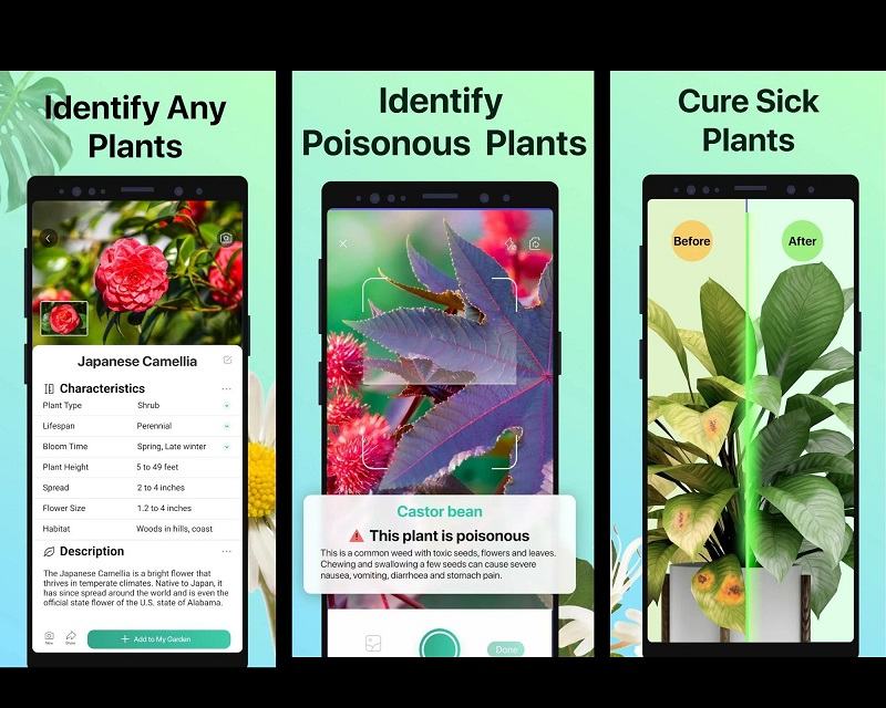 9 Best Plant Identification Apps of 2023 Plantora