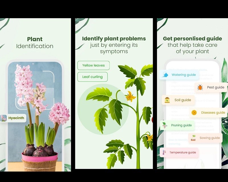 9 Best Plant Identification Apps of 2023 Plantora