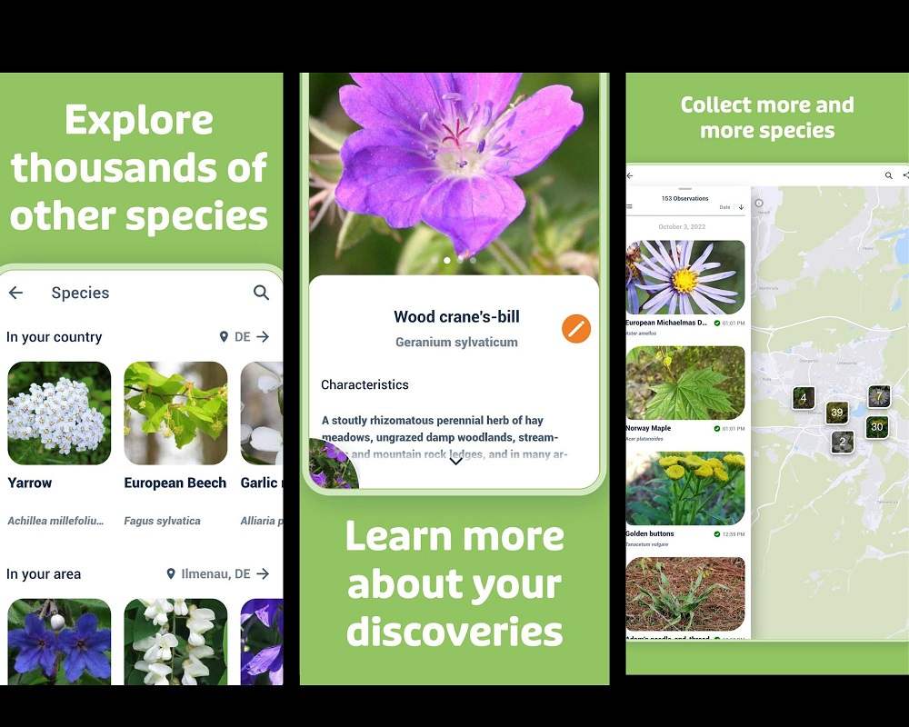 9 Best Plant Identification Apps of 2023 Plantora