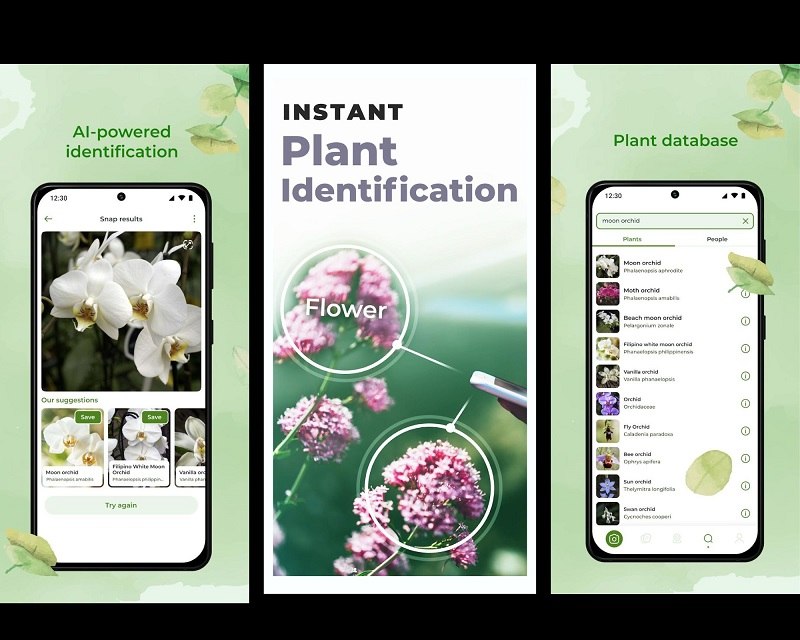 9 Best Plant Identification Apps of 2023 Plantora