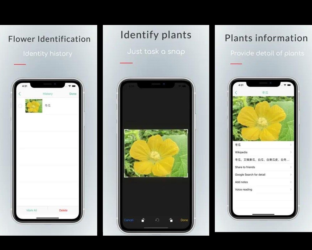 9 Best Plant Identification Apps of 2023 Plantora