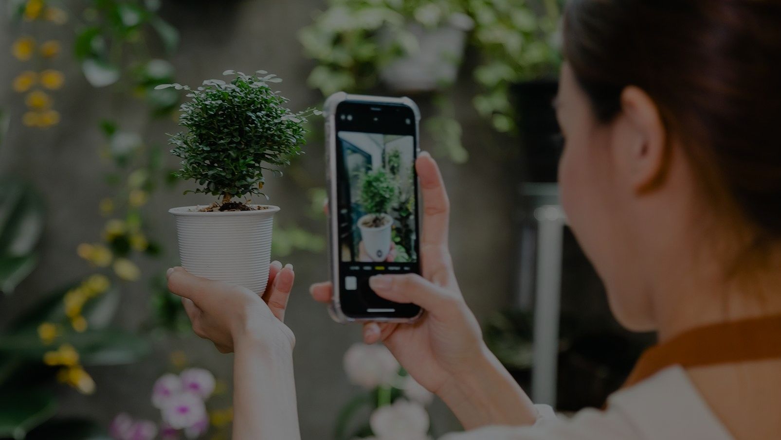 9 Best Plant Identification Apps of 2023