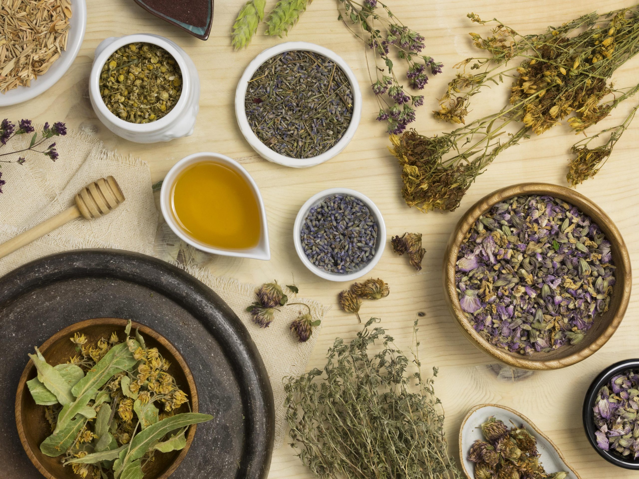 Herbal Plants: 7 Medicinal Plants With Powerful Healing Benefits