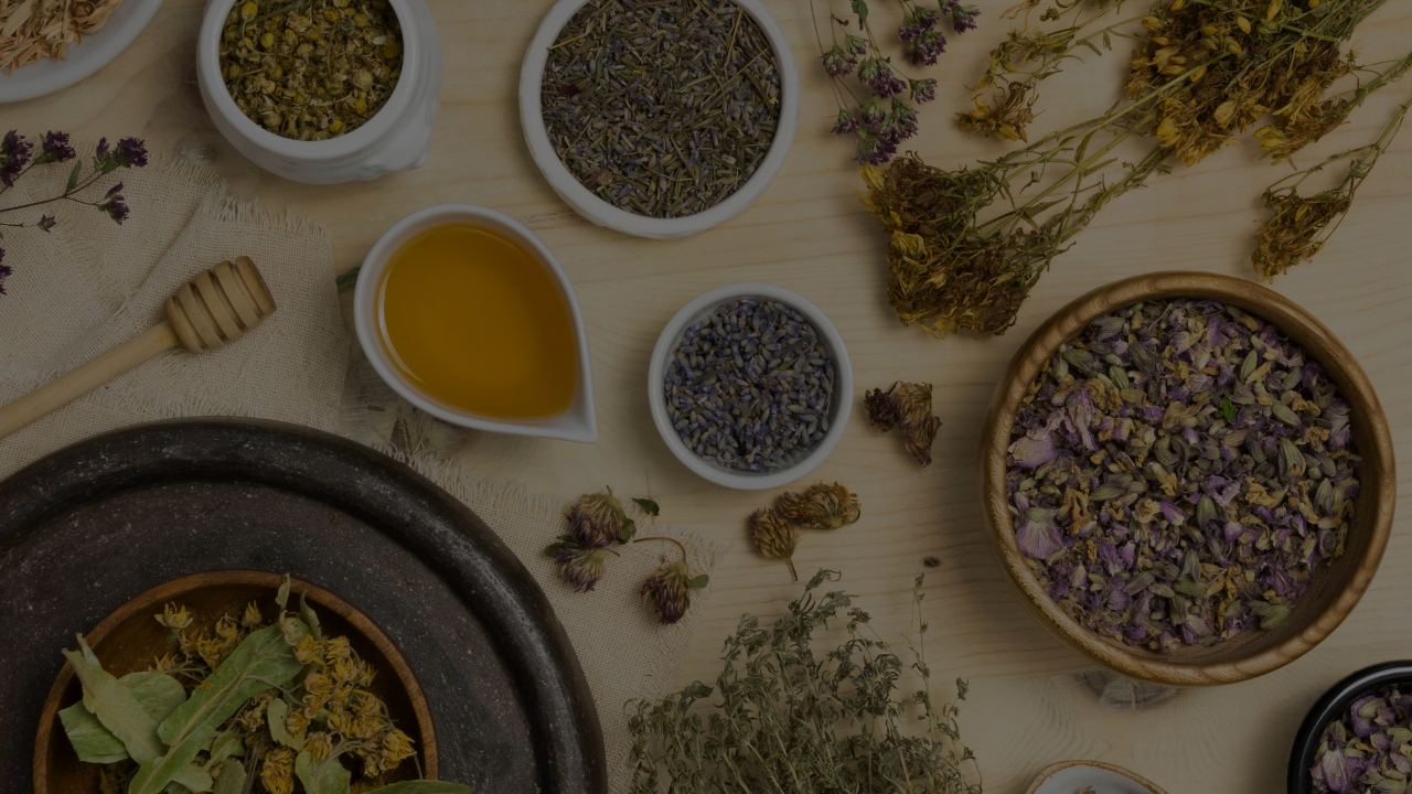 7 Herbal Plants With Powerful Healing Benefits