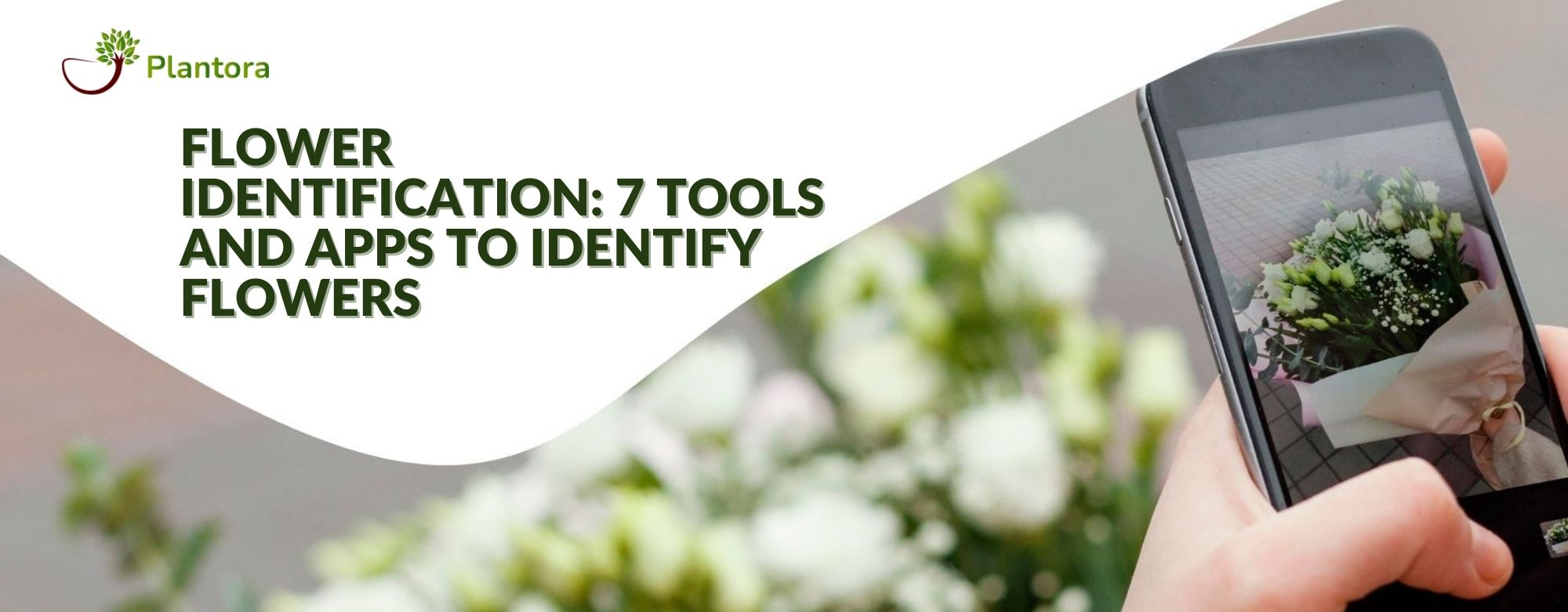 Flower Identification 7 Tools And Apps To Identify Flowers Plantora