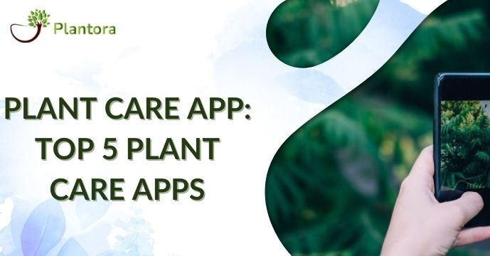 Top 5 Best Plant Care Apps To Keep Your Plants Healthy - Plantora