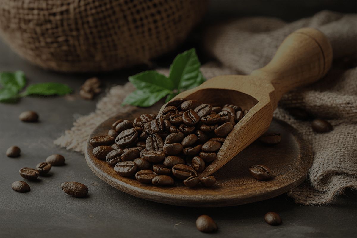 Coffee Beans: Dive in the aroma of coffee from seed to sip