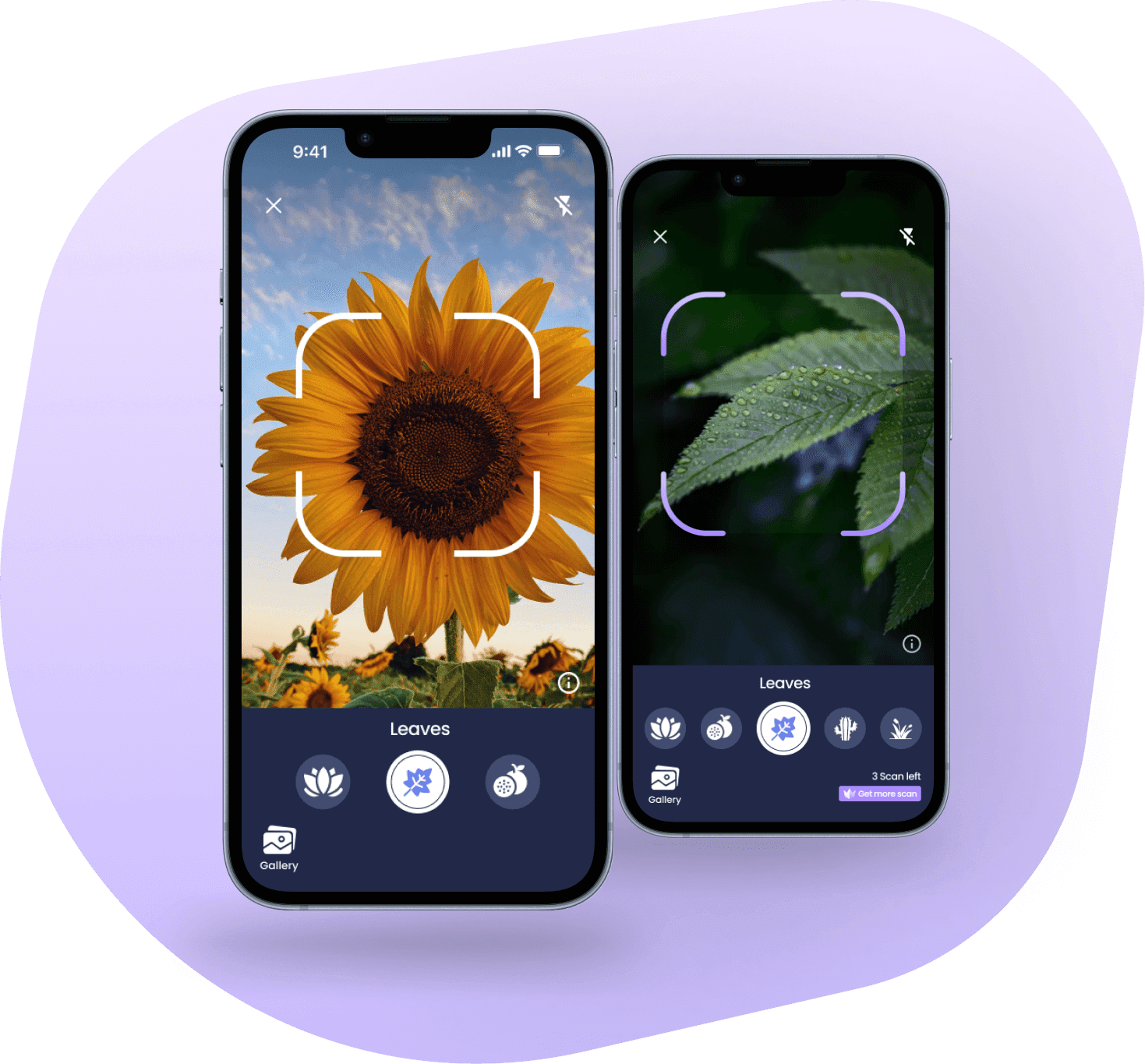 why-choose-plantora-plant-identification-app